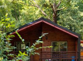 Cafeteria y cabañas Eluney - Koigue, hotel a Pucón