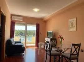 Pool view apartment with balcony in Obrovac