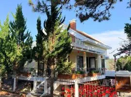 Umee Stayin Đà Lạt