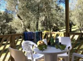 Mobil-home confortable avec terrasse pour 4 personnes à Vico - API-1-52-838