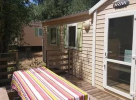 Mobil home 6 personnes avec terrasse à Vico - API-1-52-841