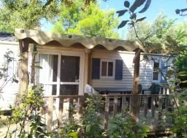 Mobil home avec terrasse pour 6 personnes - API-1-52-1077