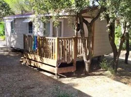 Mobil home avec terrasse pour 6 personnes, 2 chambres - API-1-52-1105