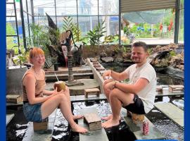 CATBA PANDORA Hotel & Travel, hotell i Cat Ba