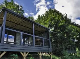 Chalet cosy de 6 personnes avec terrasse à Vic-sur-Cère - API-1-52-1255