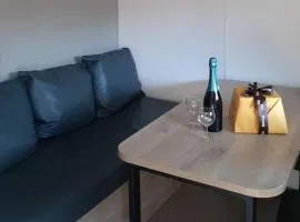 Mobil-home 4 pers avec terrasse au Pradet - API-1-52-1279