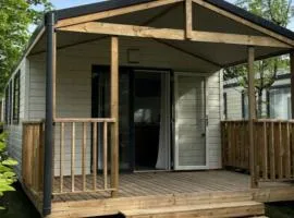 Mobil home confortable avec terrasse à Challes-les-Eaux - API-1-52-1290