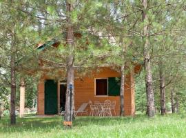 Chalet avec Terrasse - 4 personnes, Cuisine équipée - API-1-52-1335, hotel a Dienné