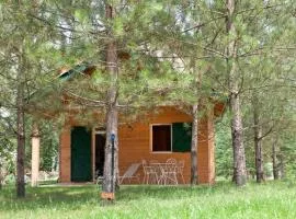 Chalet avec Terrasse - 4 personnes, Cuisine équipée - API-1-52-1335