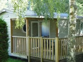 Mobile-home 4 pers, salon de jardin, barbecue - API-1-52-1356