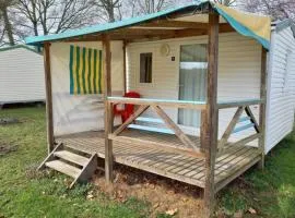 Mobil-home confortable avec terrasse pour 4 personnes à Athée - API-1-52-1366