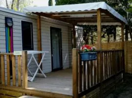 Mobil home 4 pers avec Terrasse à Grande-Motte - API-1-52-1431