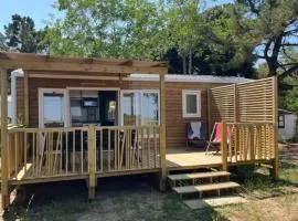 Mobil home 6 pers avec terrasse à Dolus-d'Oléron - API-1-52-1523
