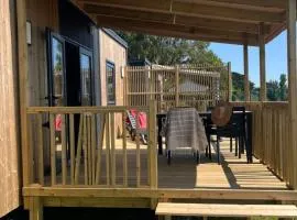 Mobil-Home 4 pers avec Terrasse à Dolus-D'Oléron - API-1-52-1548