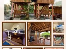 Igid Puttot Guest Cabins