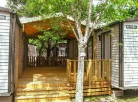 Confort pour 12 pers: Double Mobile-Home avec Terrasse - API-1-52-1604