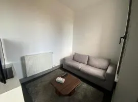 2-bedroom apartment, close to city center and CHU