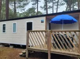 Mobil Home Confort 6 Pers avec Terrasse - API-1-52-1623
