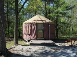 Tranquil Timbers Yurt 3