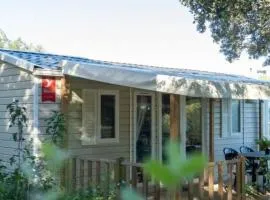 Mobil-home 5 pers, Terrasse à La Rouquette - API-1-52-1636