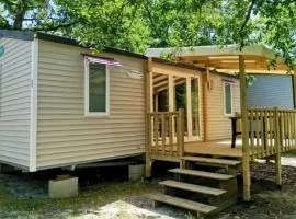 Mobil-home 6pers avec terrasse, Mézos - API-1-52-1625