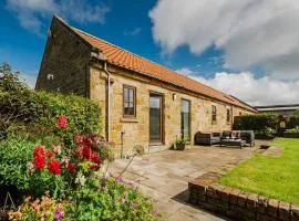 Barn Owl Cottage - Uk49034