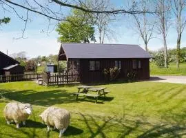 Robin Lodge - E4478