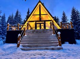 ALTURA Chalet, hotel in Muntele Băişorii