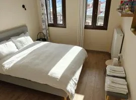 Metsovo Fireplace Retreat I
