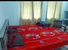 Hotel Ashish Palace Barari, hotel 