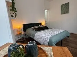 Hypercentre Béthune - Vert & Zen - Parking privé