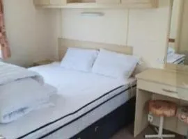 6 birthday gold caravan Towyn