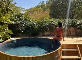 Hemdatya Stone Suites In The Galilee