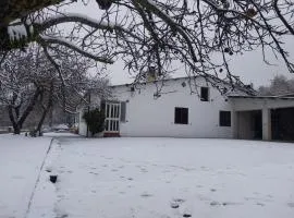 Villetta Indipendente fra i pini della Sila CS