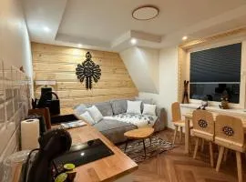 Apartamenty Premium Biały Dunajec , Jacuzzi , Sauna, Darmowy parking, Kominki w apartamentach, Widok na góry