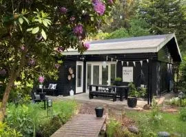 Dromen op 1 - ruime 4-persoons vakantiewoning met veranda en grote omheinde tuin!