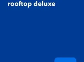 Attic A31 apartament rooftop deluxe