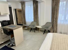 visitor's house 1, hotell i Rădăuţi