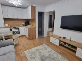 VIS Apartment Suceava University