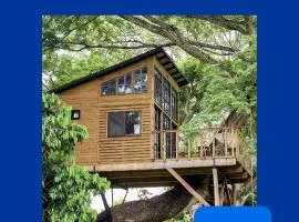 Casa en el Arbol