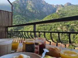 T2 vue mer & montagne Golfe de Porto-Ota