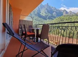 T2 vue mer & montagne Golfe de Porto-Ota