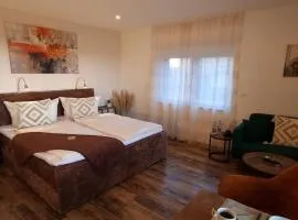 CJS Apartments - Chill or Drive am Nürburgring, new Box Spring Beds, new furniture, WLan, Spacious Rooms, Quiet Location