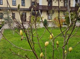 Villa Musik - historical apartments, Baden, готель у Бадені