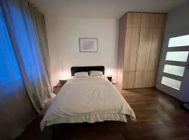 Modern Studio near Letňany Expo