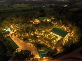 Tiger Woods Ranthambore