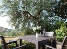 Holiday Villa in Delvine