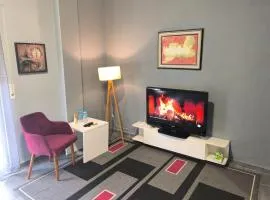 Deasapartments in Tirana 3