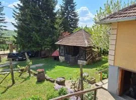 Seosko-turističko domaćinstvo Drenak