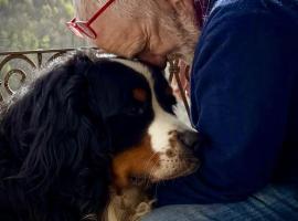 Viandanti, Artisti e Sognatori, hotelli kohteessa Comano